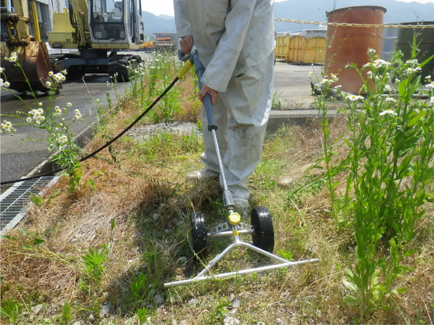 温水除草を行っている様子